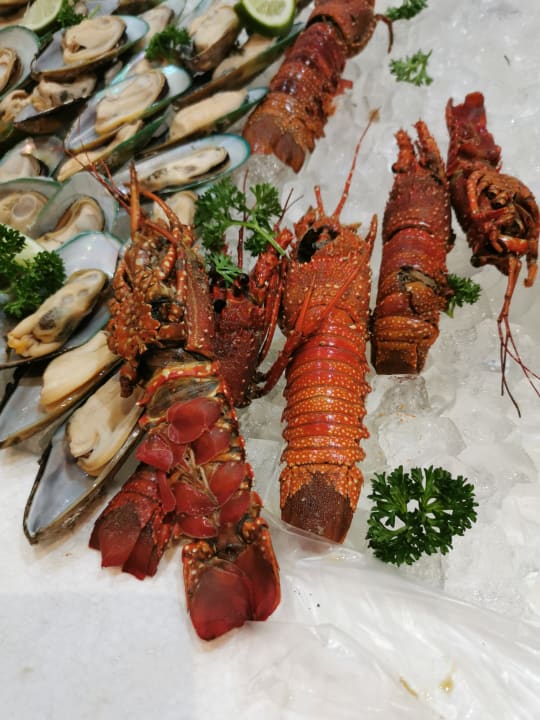 Gastro Grand Palladium Punta Cana Resort & Spa