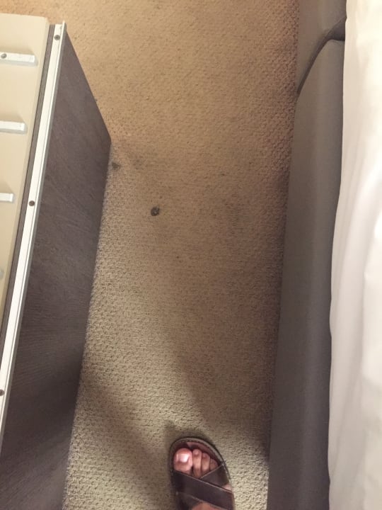 Zimmer Smart Hotel Holiday