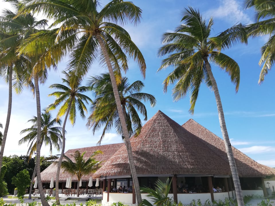 Gastro Reethi Faru Resort