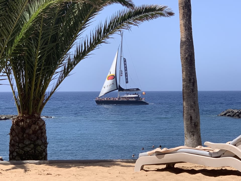 Ausblick Hotel Riu Palace Tenerife