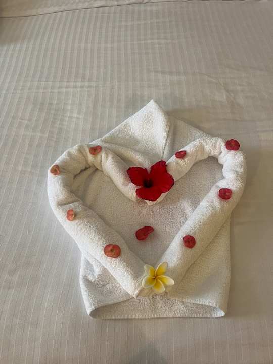 Zimmer Lazuli Hotel Marsa Alam