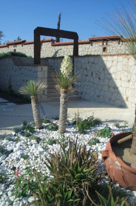 Hotel Solto Garten Cocos The Club Solto