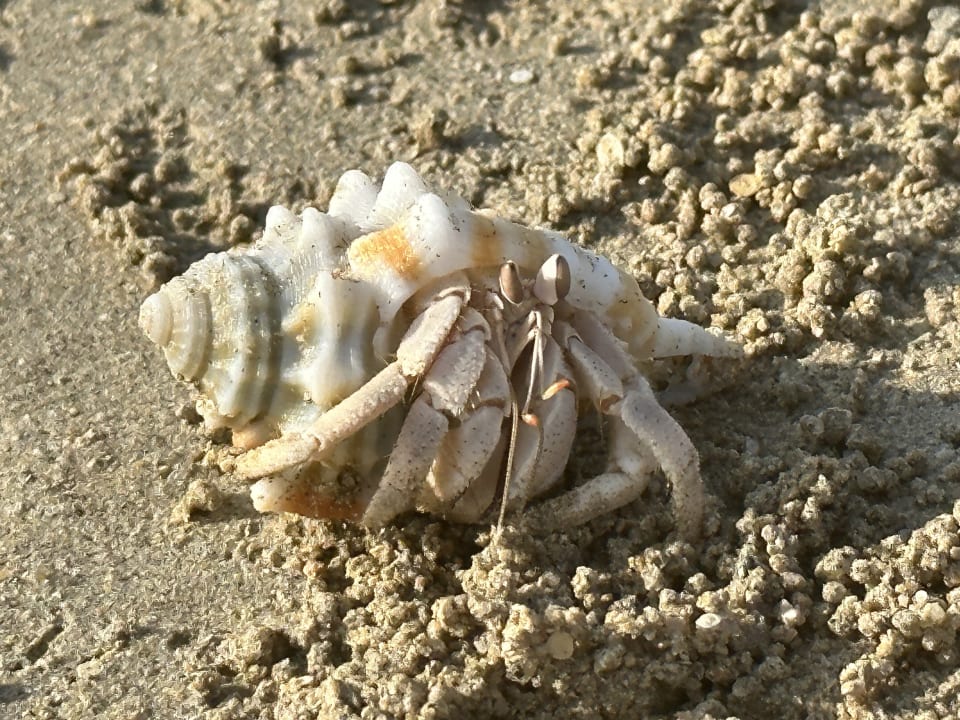 Strand Casa Mare Resort