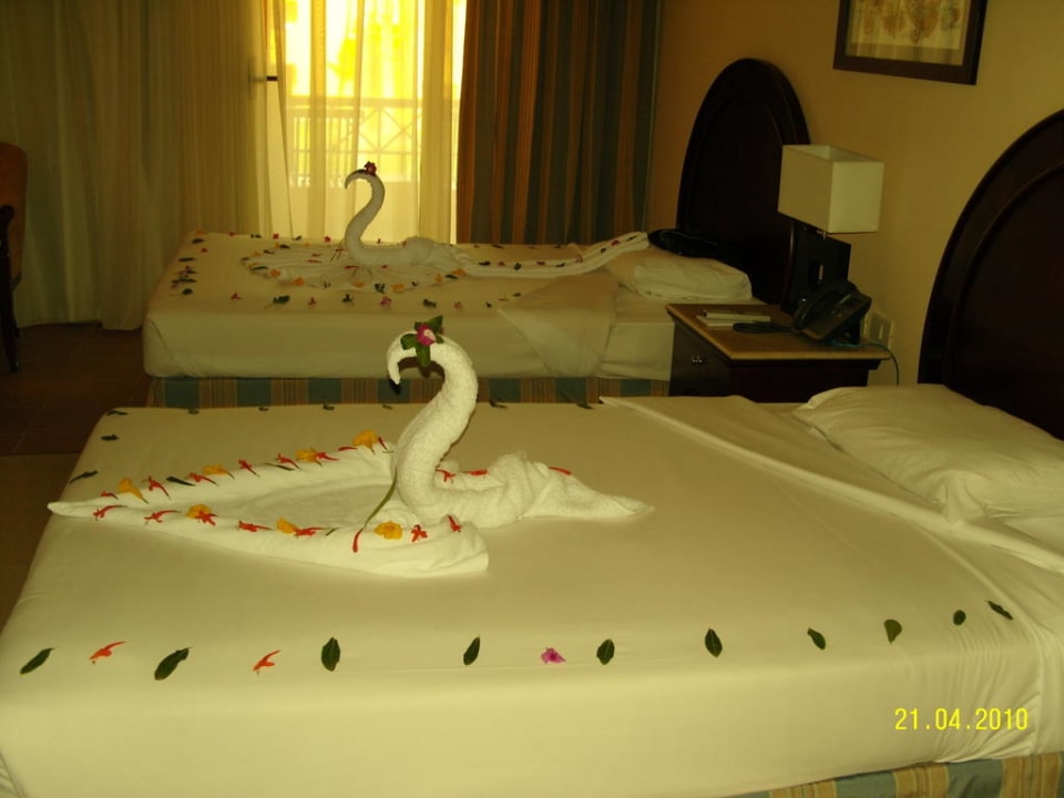 Überraschung nach dem Strand Stella Beach Resort & Spa Makadi Bay