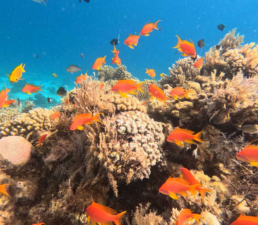 Strand Arabella Azur Resort