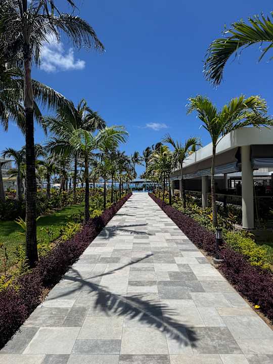 Gartenanlage Hotel Riu Turquoise