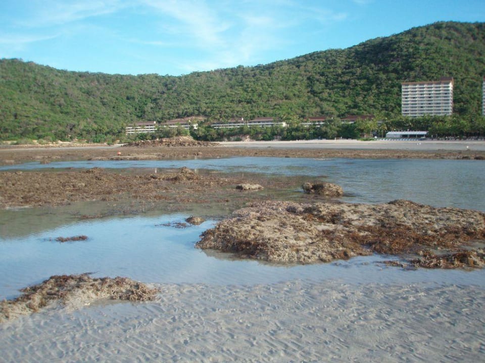 Strand von Hamilton Island Hotel Hamilton Island Reef View