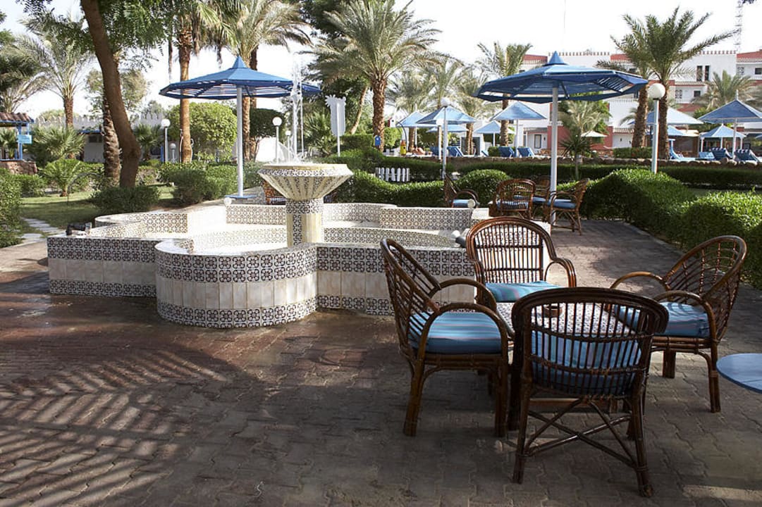 Ruhiger Platz im Schatten Albatros Sharm Resort