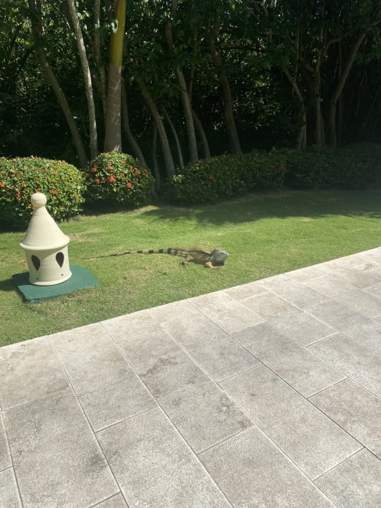 Gartenanlage Caribe Deluxe Princess