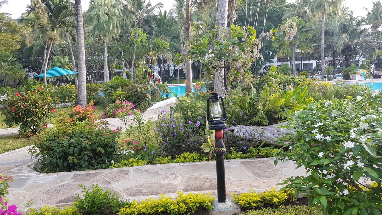 Gartenanlage Hotel Southern Palms Beach Resort