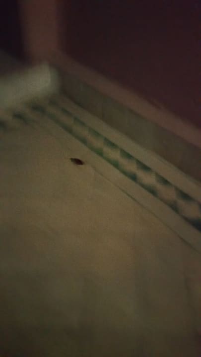 Zimmer Palm Appart Club Marrakech