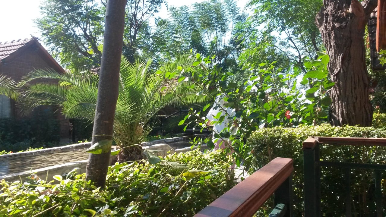 Blick von unserem Bungalow Can Garden Beach