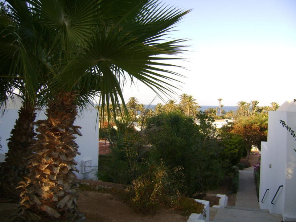 Ausblick zum Meer Hotel Sangho Club Zarzis