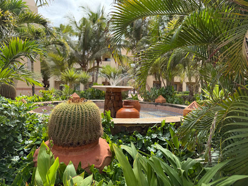 Gartenanlage Hotel Riu Touareg