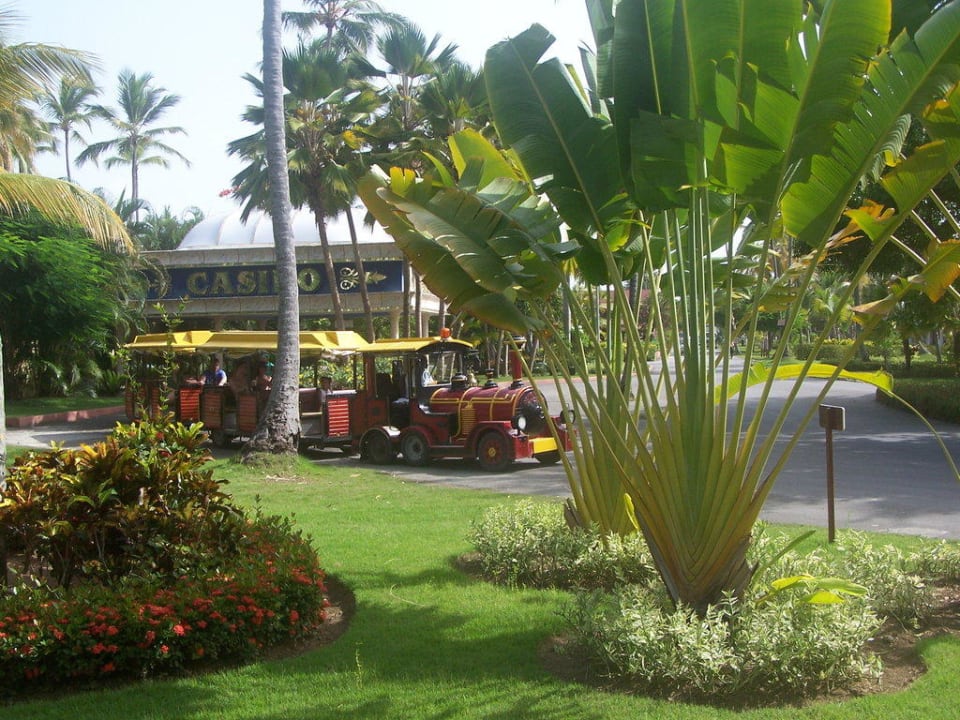 Hotel Bimmelbahn Hotel Grand Palladium Palace Resort, Spa & Casino