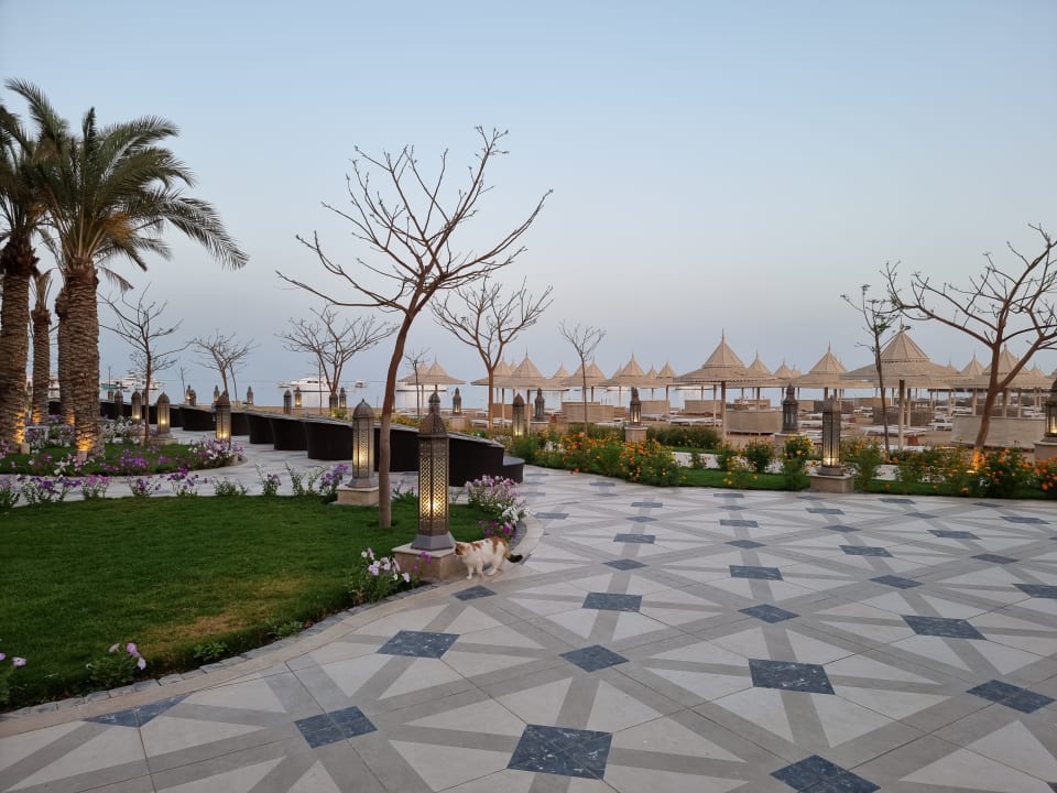 Ausblick The Grand Palace - Adults only