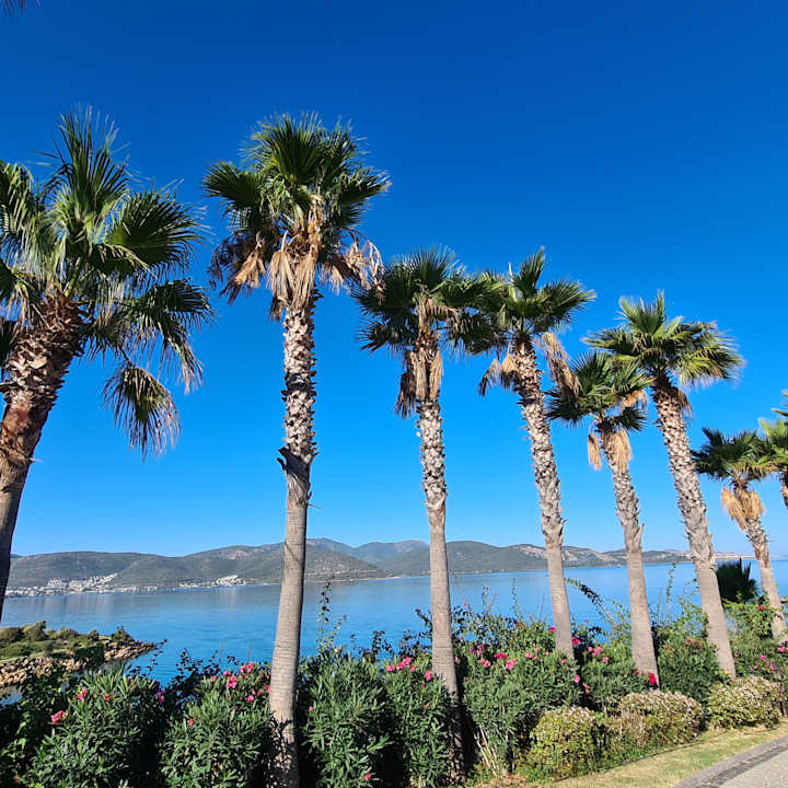 Außenansicht The Plaza Bodrum