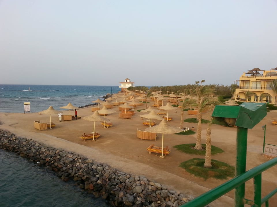 So viel freie Liegen Desert Rose