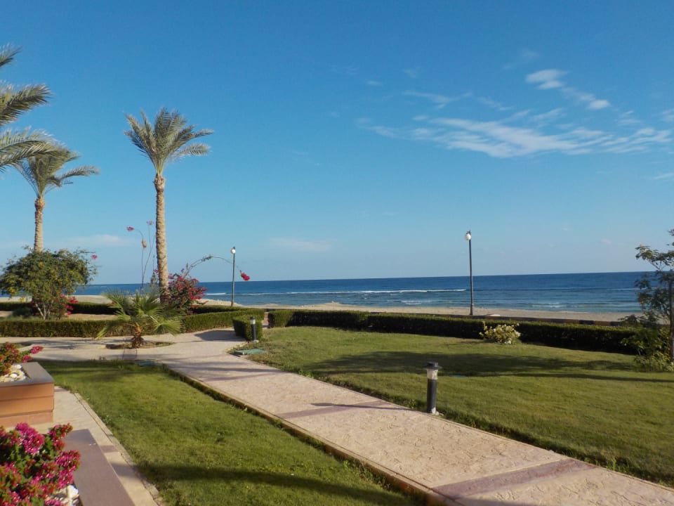 Ausblick Malikia Resort Abu Dabbab