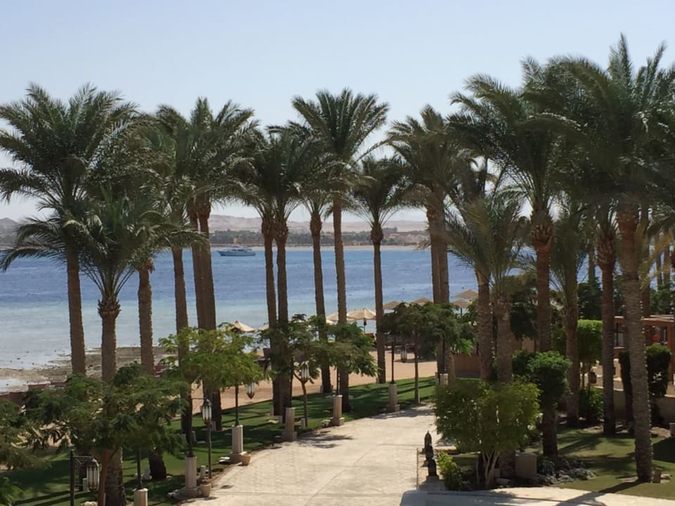 Ausblick Makadi Spa - Adults only