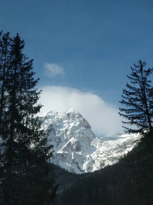 Ausblick Alm- & Wellnesshotel Alpenhof