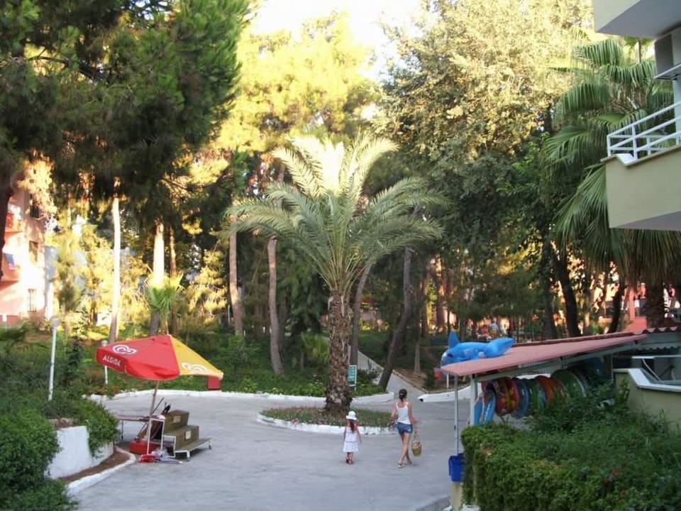 Blick in Garten Club Sidelya Hotel