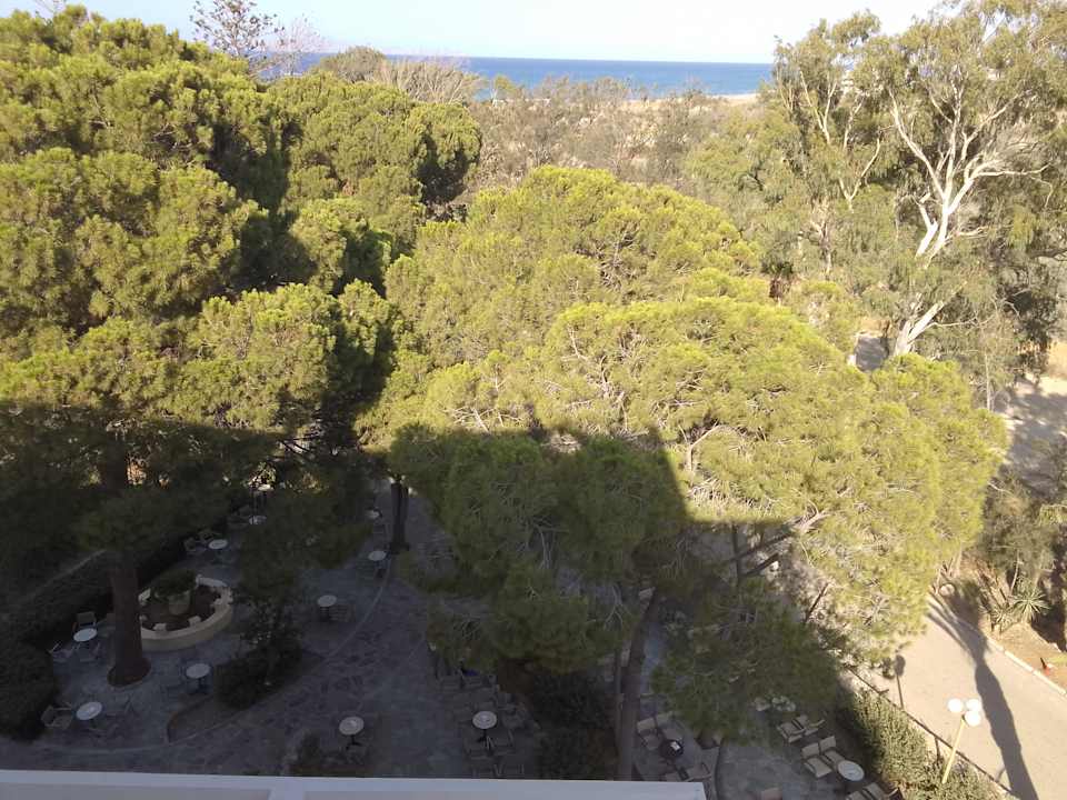 Außenansicht Apollonia Beach Resort & Spa