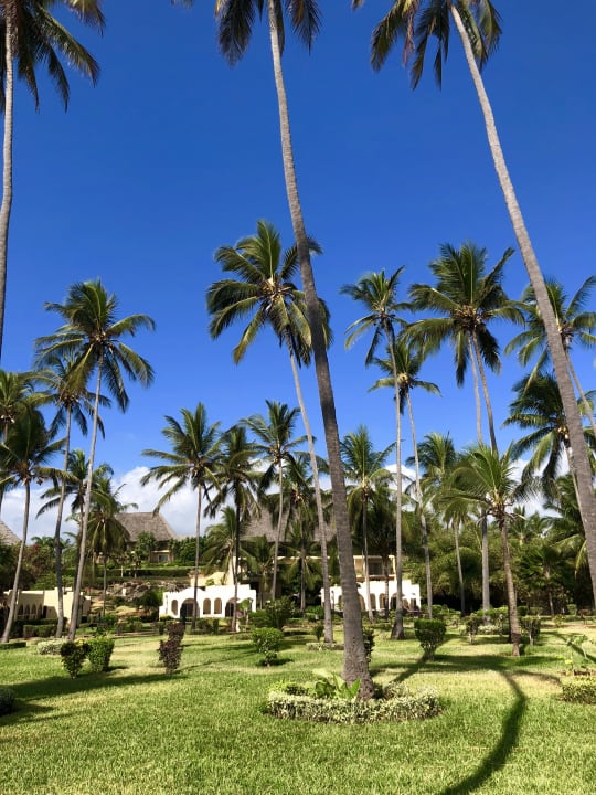 Gartenanlage TUI Blue Bahari Zanzibar