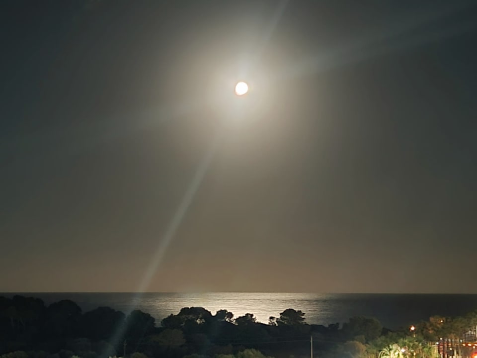 Ausblick allsun App.-Hotel Orient Beach