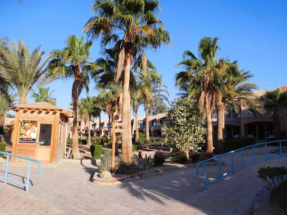 Wege von Palmen gesäumt Club Paradisio El Gouna, Red Sea