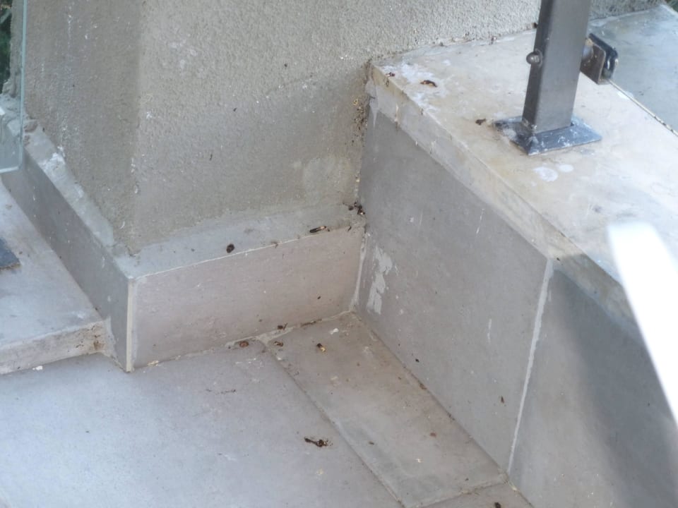 Balkon, verdreckt durch Vögel HVD Viva Club Hotel