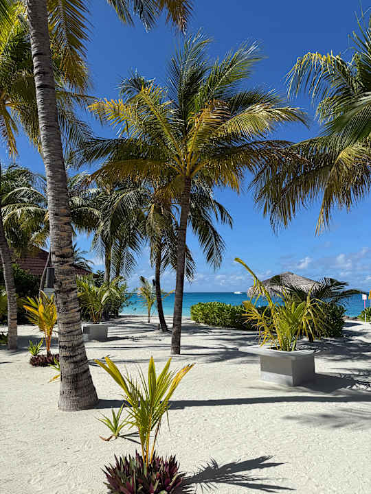 Strand OBLU SELECT Lobigili