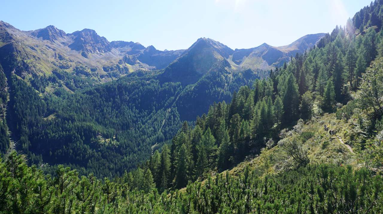 Sonstiges Premium Wanderhotel Steirerhof