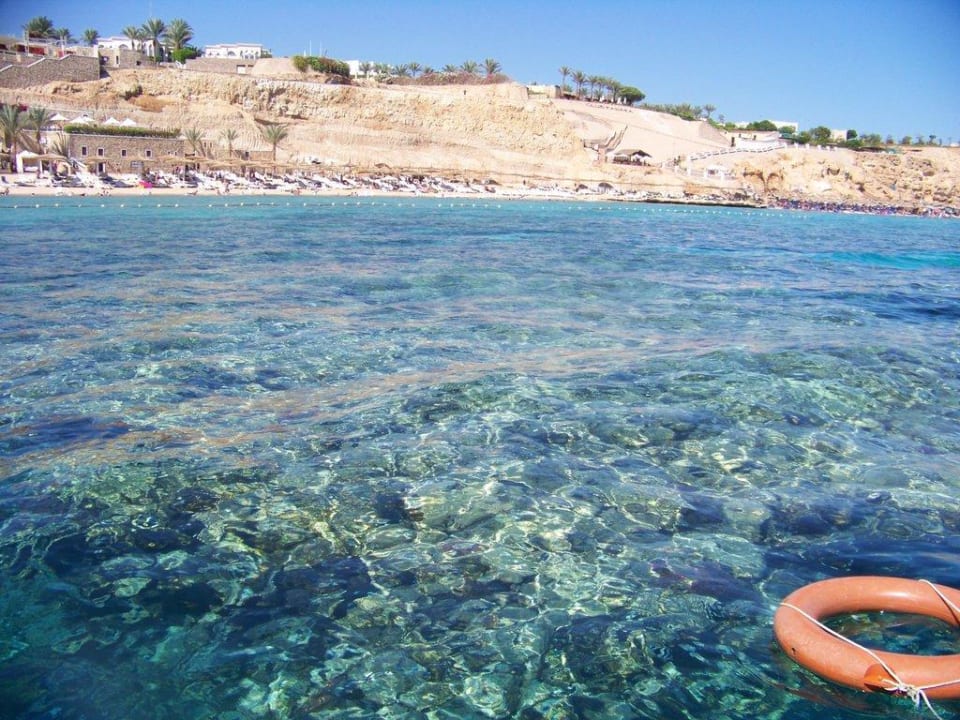 Strand vom Steg aus gesehen Hotel Reef Oasis Palms
