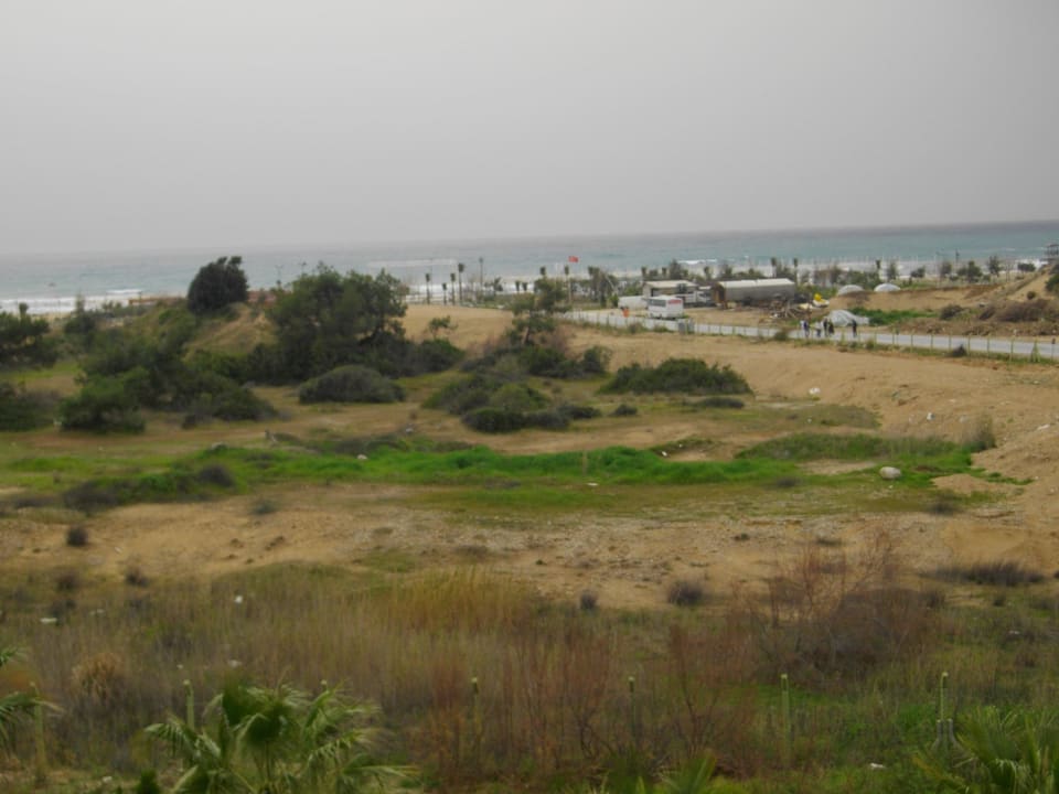 Ausblick Calimera Hane Garden