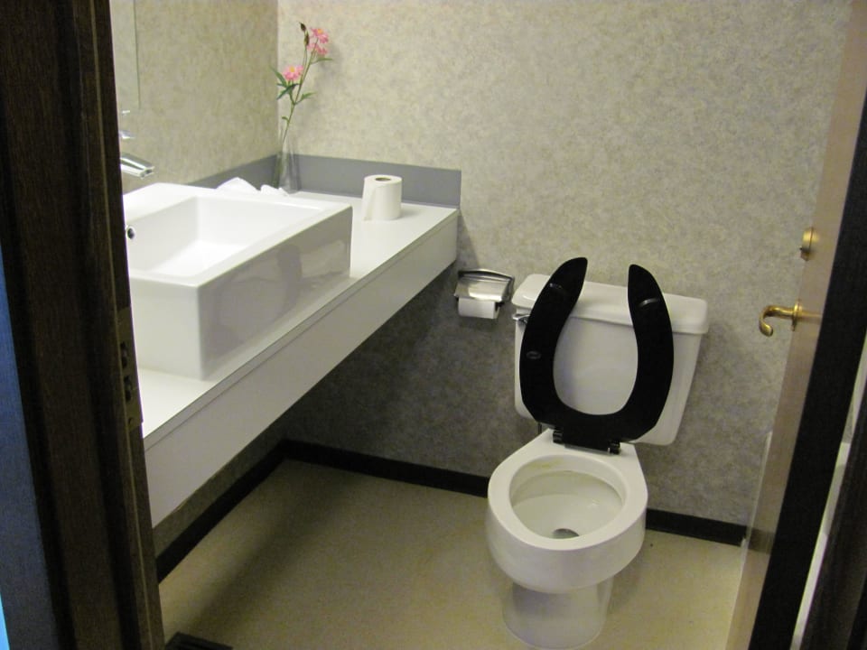 WC, Waschtisch, Dusche Airport Inn Express