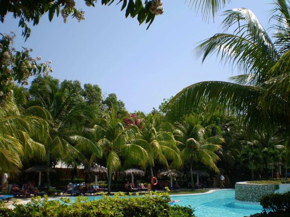 Poolbereich Paradisus Rio de Oro Paradisus Rio de Oro Resort & Spa - Adults only