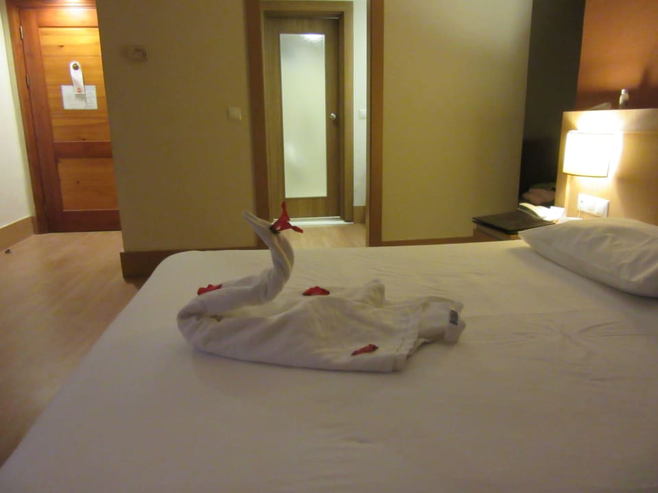 Лебедь Limak Limra Hotel & Resort