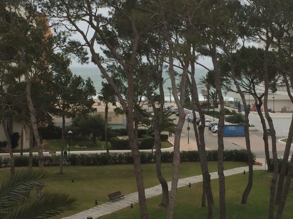 Aussicht zum Strand Hipotels Hipocampo Palace & Spa