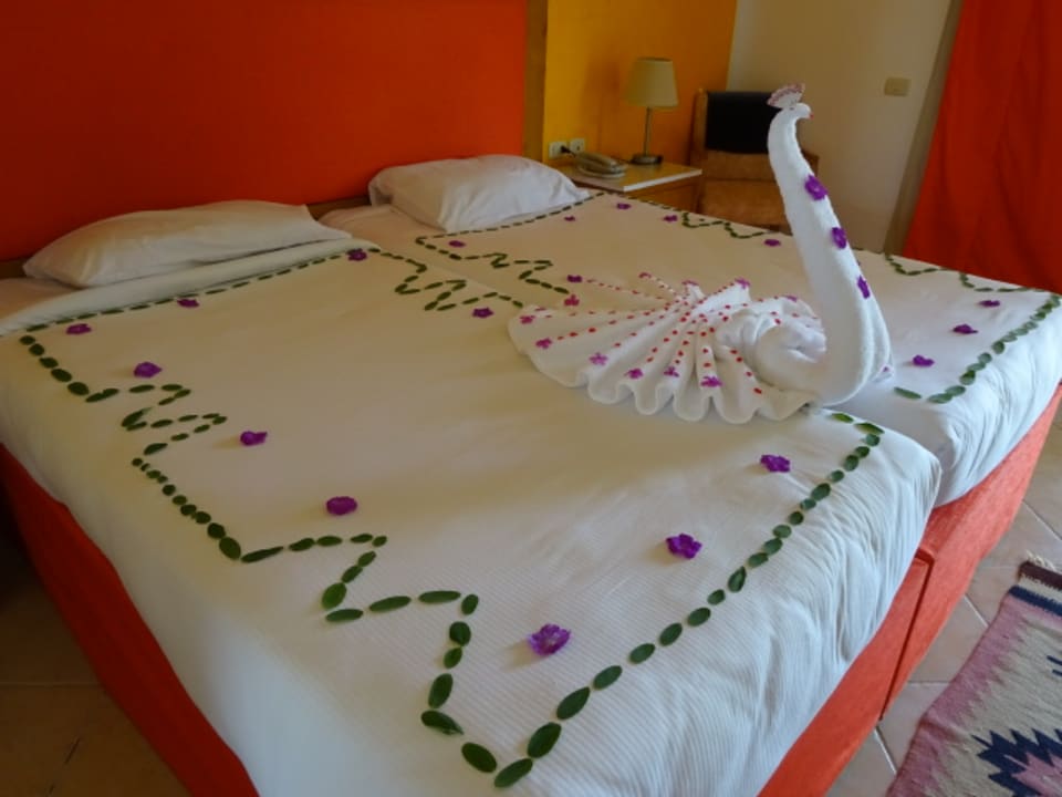 Zimmer Hotel Gorgonia Beach Resort