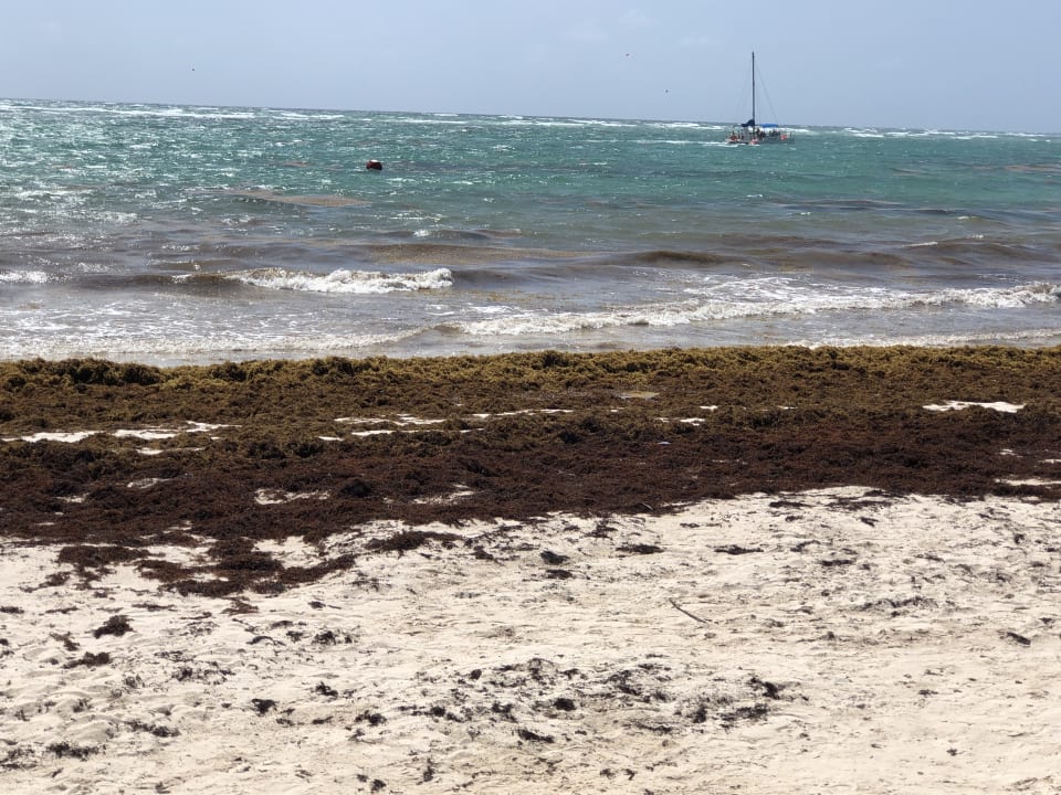 Strand Vik Hotel Arena Blanca & Cayena Beach