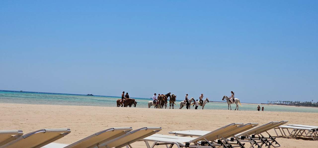 Strand JAZ Elite Asteria