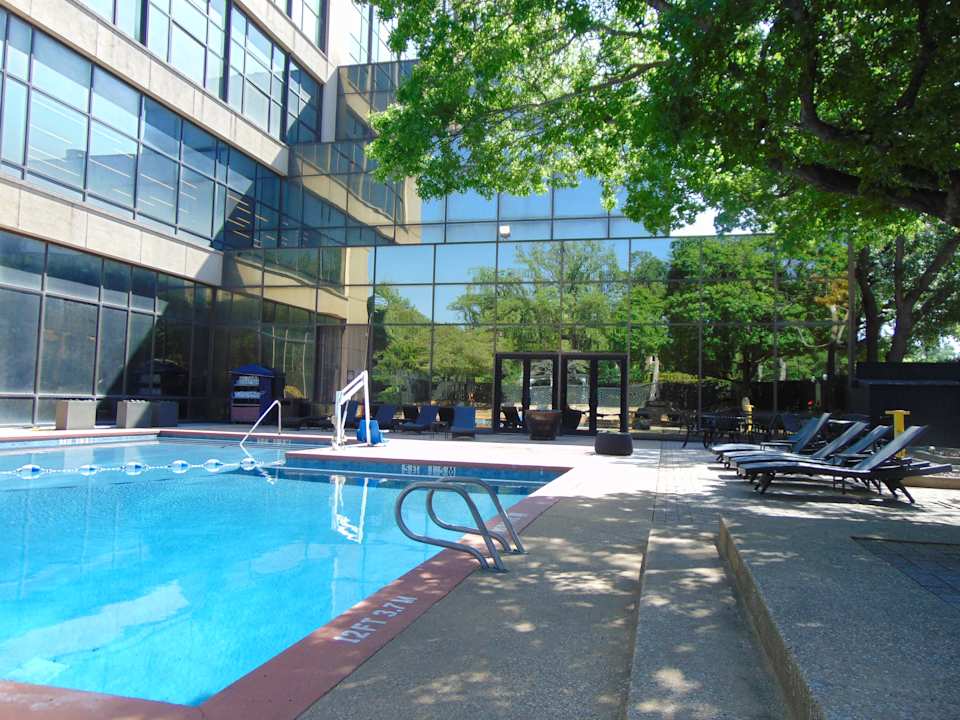 Pool Renaissance Dallas Addison