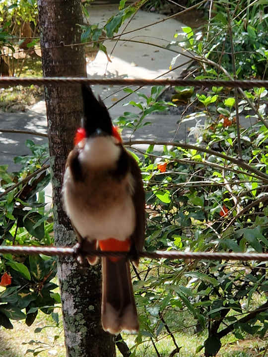 Sonstiges Lagoon Attitude - Adults only