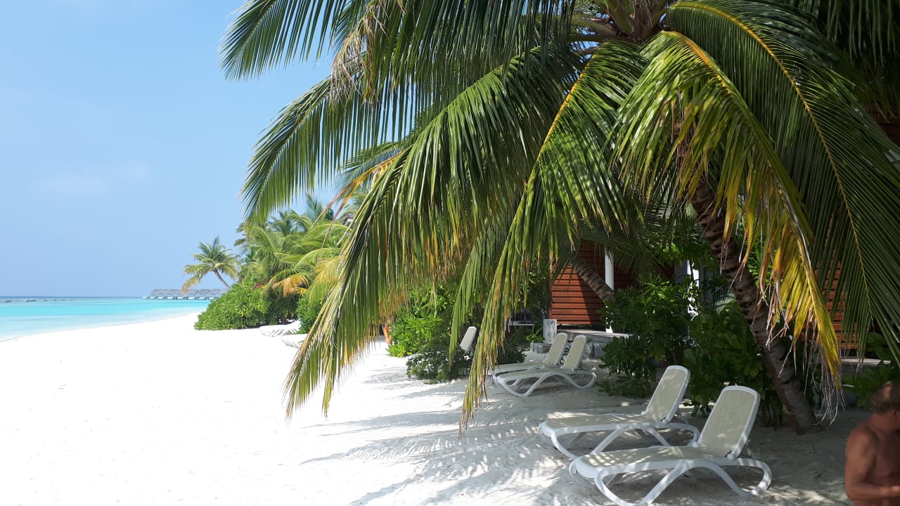 Außenansicht Kuramathi Maldives