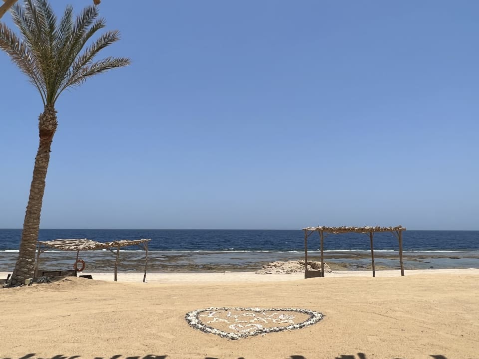 Strand Steigenberger Resort Alaya Marsa Alam - Red Sea - Adults only