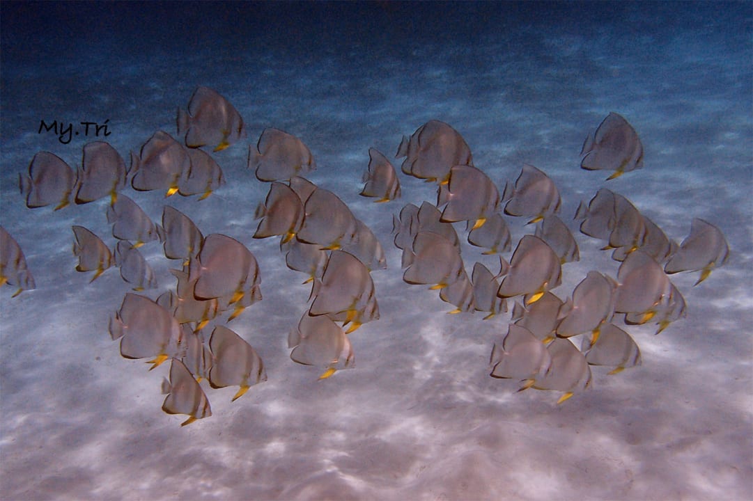 Sonstiges Dream Lagoon Resort & Aqua Park