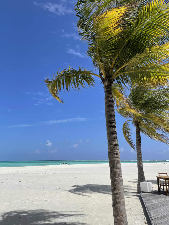 Strand Meeru Maldives Resort Island