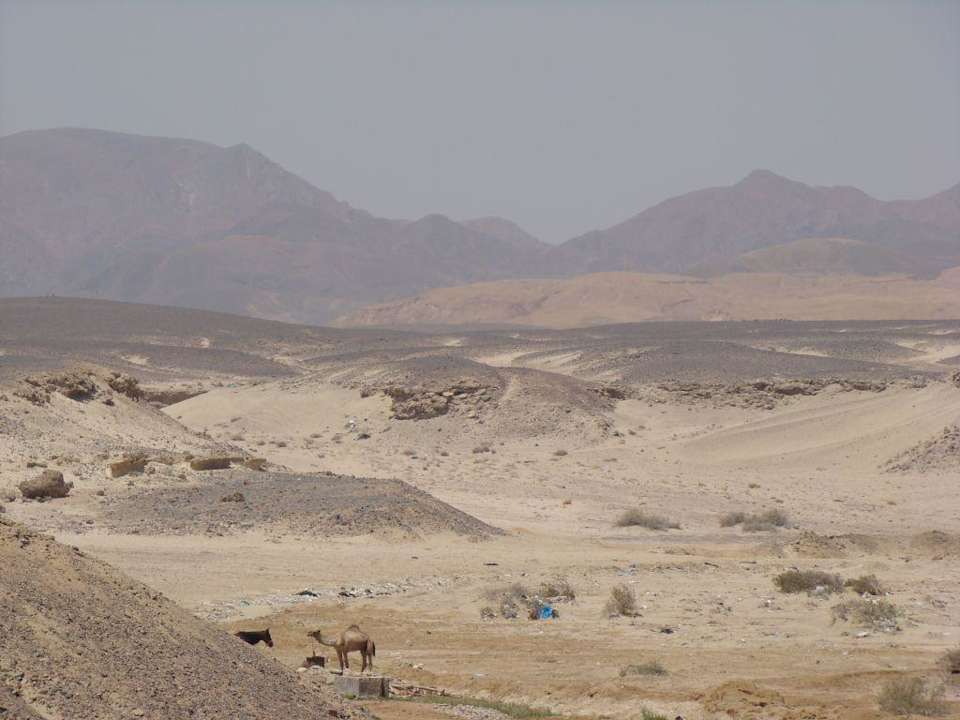 Blick vom Hoteldach Brayka Bay Resort