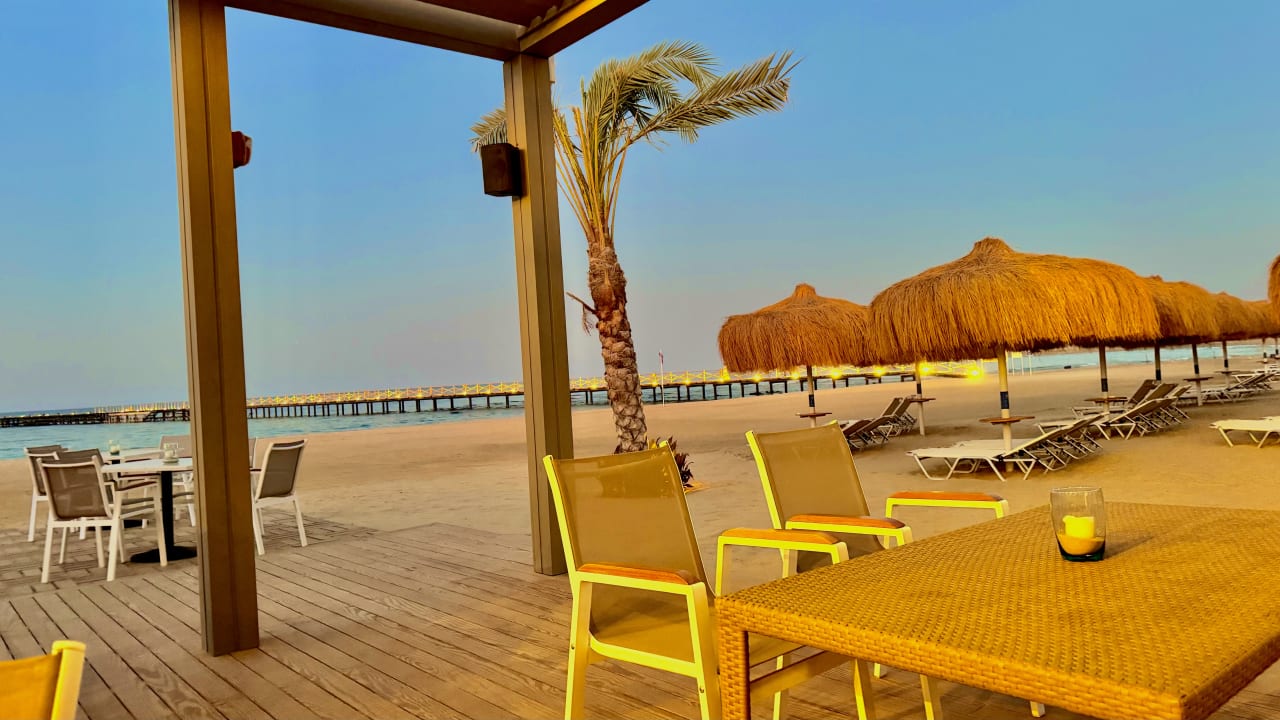 Gastro JAZ Elite Amara